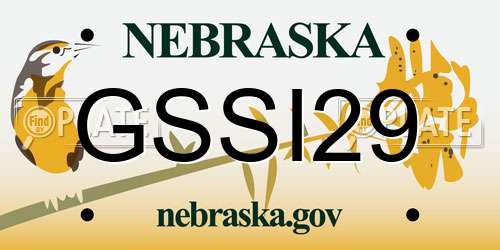 GSSI29 Nebraska License Plate