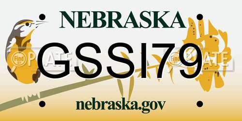 GSSI79 Nebraska License Plate