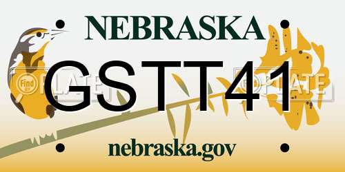 GSTT41 Nebraska License Plate