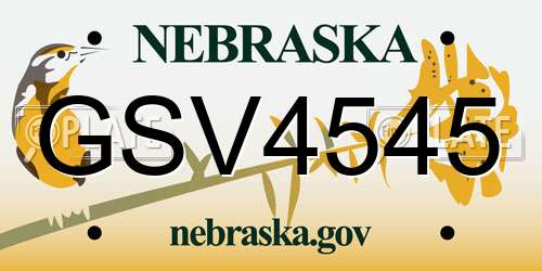 GSV4545 Nebraska License Plate