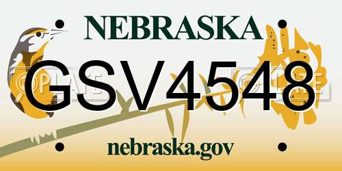 GSV4548 Nebraska License Plate