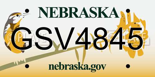 GSV4845 Nebraska License Plate