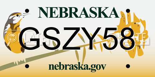 GSZY58 Nebraska License Plate