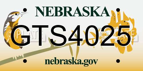 GTS4025 Nebraska License Plate