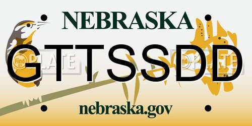 GTTSSDD Nebraska License Plate