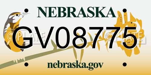 GV08775 Nebraska License Plate