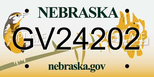 GV24202 Nebraska License Plate