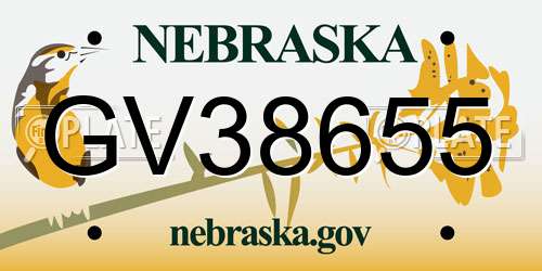 GV38655 Nebraska License Plate