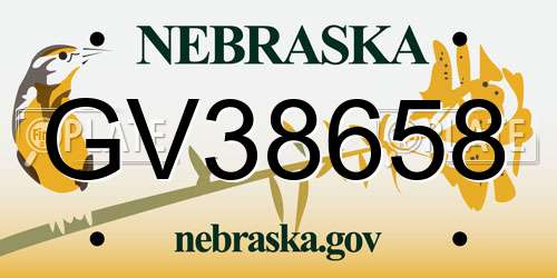 GV38658 Nebraska License Plate
