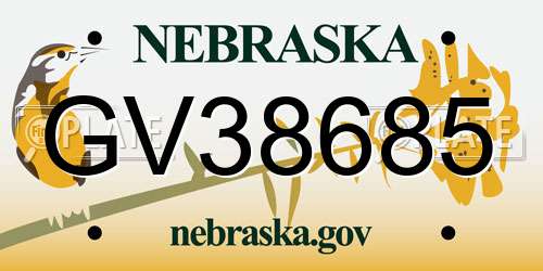 GV38685 Nebraska License Plate