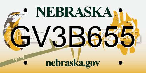 GV3B655 Nebraska License Plate