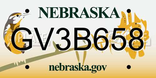 GV3B658 Nebraska License Plate