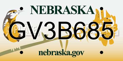 GV3B685 Nebraska License Plate