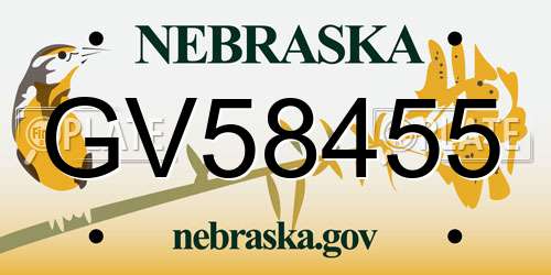 GV58455 Nebraska License Plate