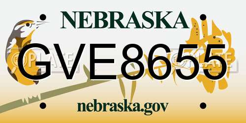 GVE8655 Nebraska License Plate