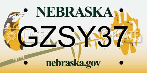 GZSY37 Nebraska License Plate