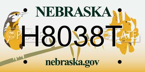 H8038T Nebraska License Plate