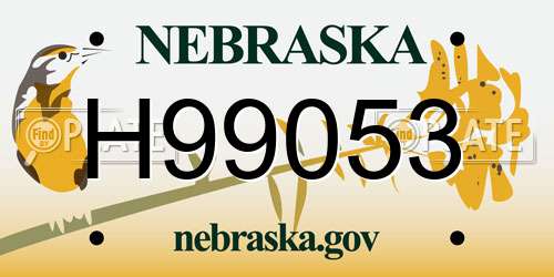 H99053 Nebraska License Plate