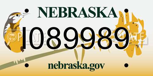 I089989 Nebraska License Plate