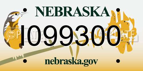 I099300 Nebraska License Plate