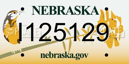 I125129 Nebraska License Plate