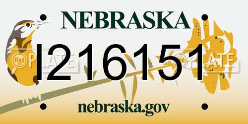I216151 Nebraska License Plate