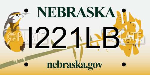 I221LB Nebraska License Plate