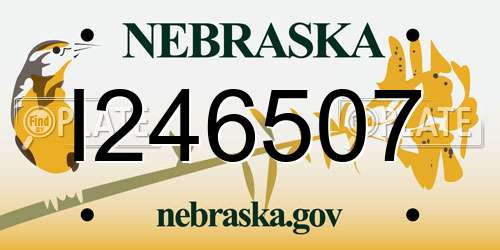 I246507 Nebraska License Plate