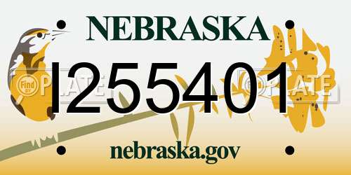 I255401 Nebraska License Plate