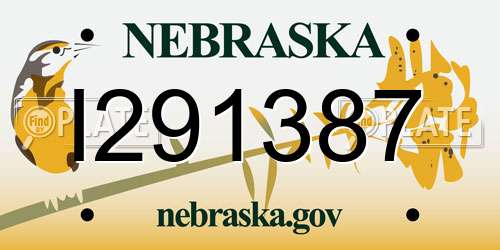 I291387 Nebraska License Plate