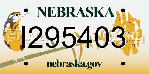 I295403 Nebraska License Plate