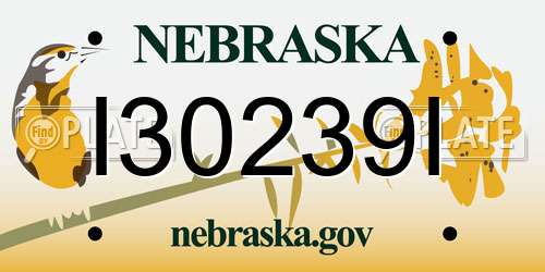 I30239I Nebraska License Plate
