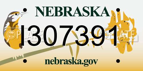 I307391 Nebraska License Plate