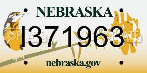 I371963 Nebraska License Plate