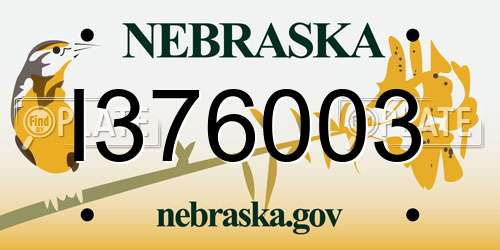 I376003 Nebraska License Plate