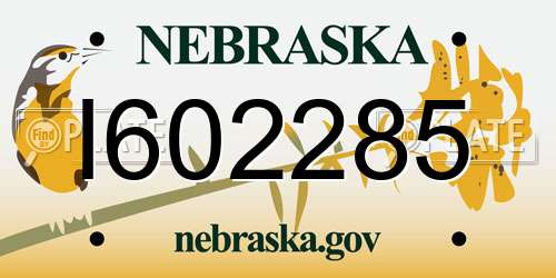 I602285 Nebraska License Plate