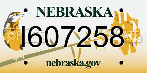 I607258 Nebraska License Plate