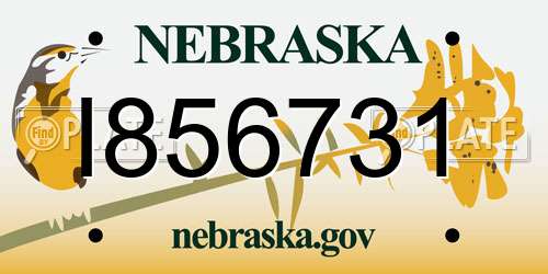 I856731 Nebraska License Plate