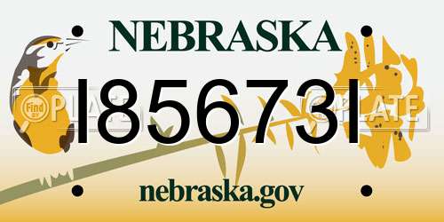 I85673I Nebraska License Plate