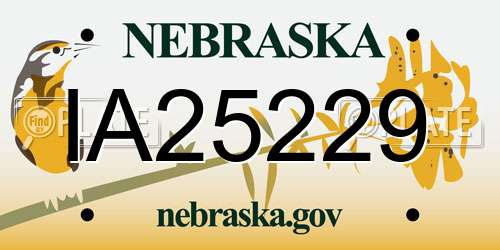 IA25229 Nebraska License Plate
