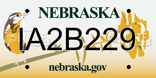 IA2B229 Nebraska License Plate