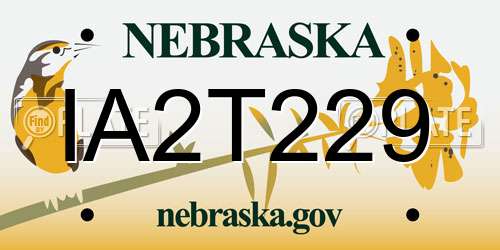 IA2T229 Nebraska License Plate
