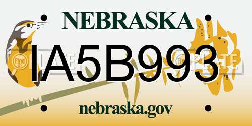 IA5B993 Nebraska License Plate