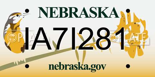 IA7I281 Nebraska License Plate