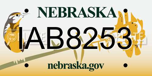 IAB8253 Nebraska License Plate