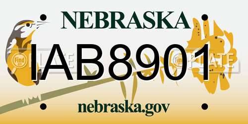 IAB8901 Nebraska License Plate