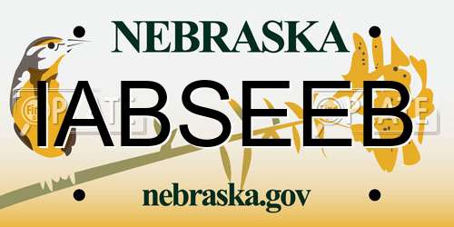 IABSEEB Nebraska License Plate
