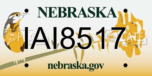 IAI8517 Nebraska License Plate