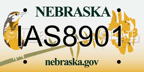 IAS8901 Nebraska License Plate