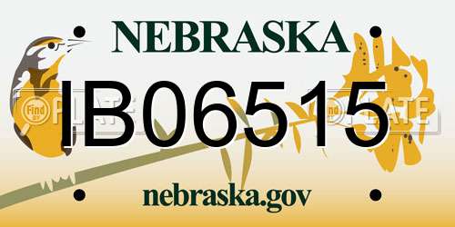IB06515 Nebraska License Plate